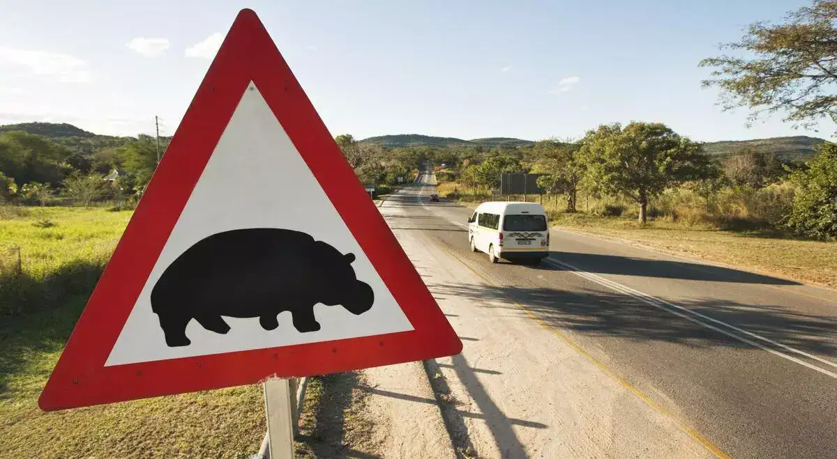 Hippos crossing alert sign on road